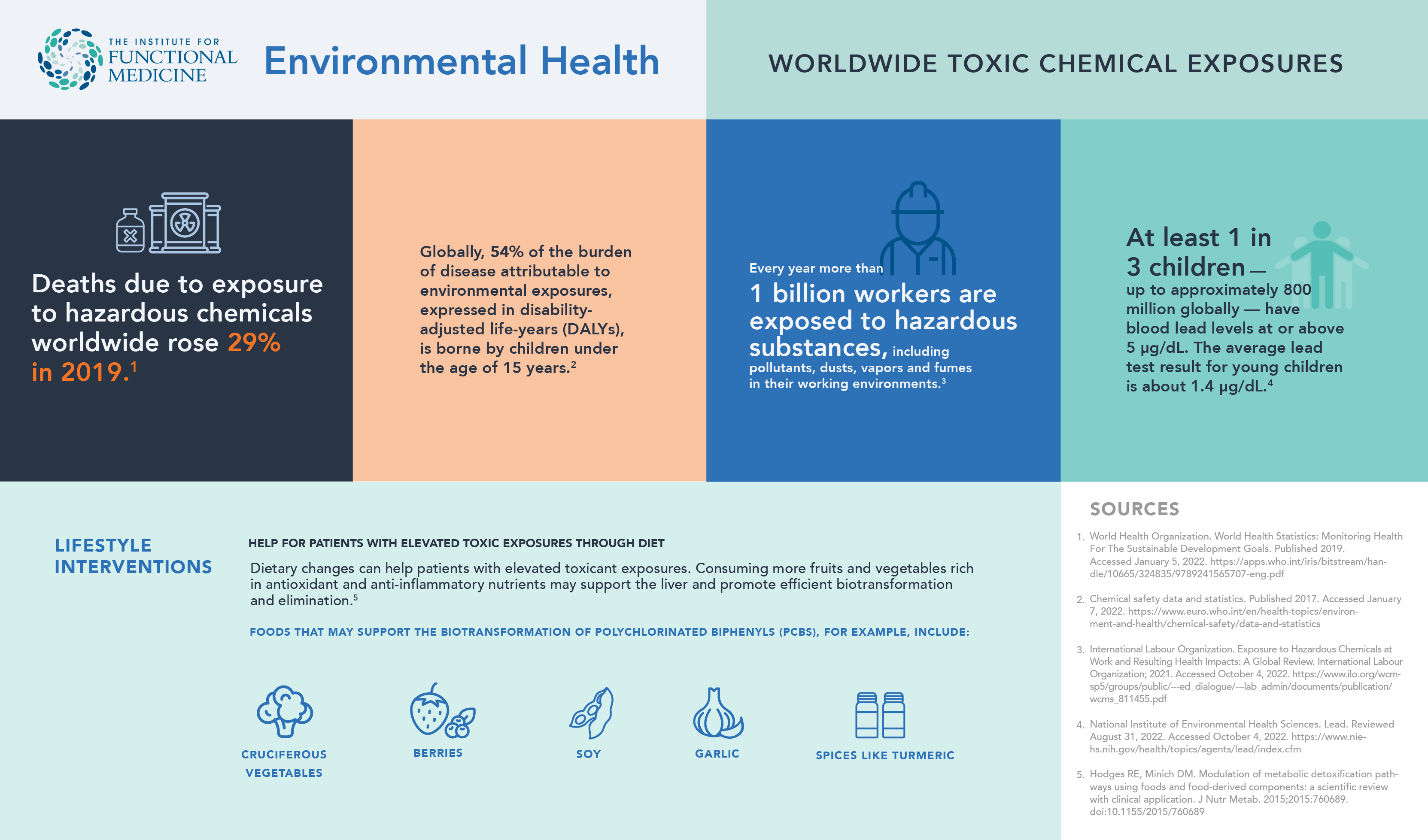 Functional Medicine Topics Environmental Health